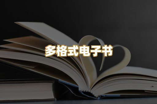多格式电子书